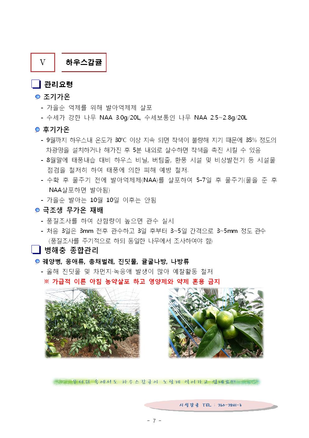 서귀포농업 인터넷 정보지 창간호(8.23) 